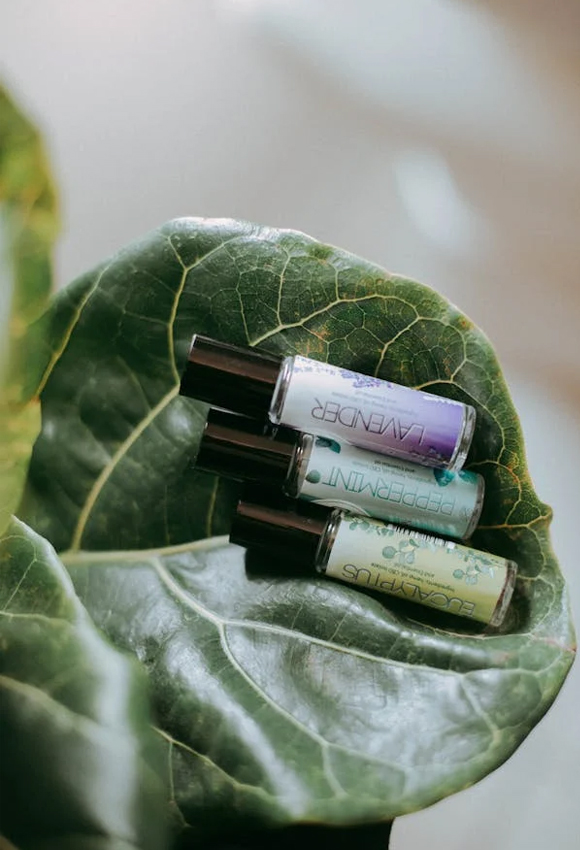 Essential oil bottles placed in leaf