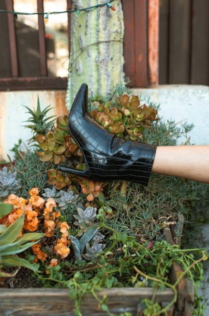 black heeled ankle boots